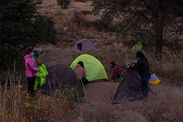 Green Tent