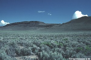 Great Basin Desert image gallery